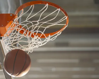 Imagem ilustrativa da imagem Brasil fica com o vice da Copa América de basquete feminino