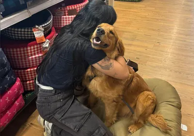 Imagem ilustrativa da imagem Caso Bento: Juiz nega prisão preventiva de agressor do animal