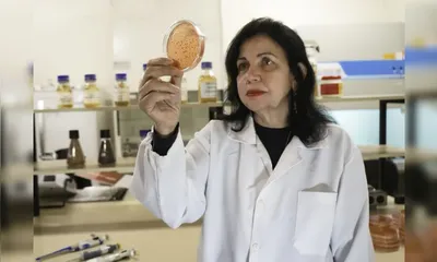 A cientista Mariangela Hungria, da Embrapa Soja, recebe o Prêmio Mundial de Alimentação de 2025