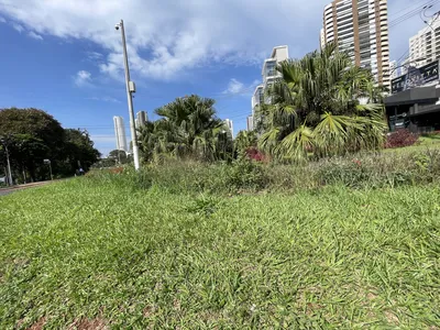 Imagem ilustrativa da imagem Com custo de 1,2 milhão, CMTU vai contratar empresa de jardinagem