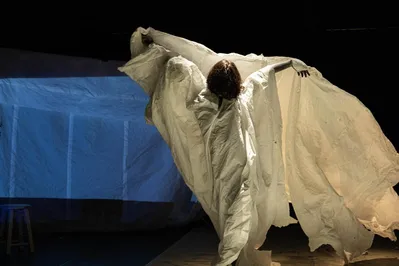 O Festival Novos Olhares é uma iniciativa dedicada a impulsionar carreiras de artistas emergentes do teatro do Paraná