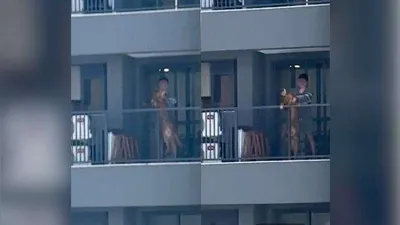 Imagens chocantes levam à prisão de homem que maltratou cachorro em Londrina. Ele pode pegar 5 anos de detenção