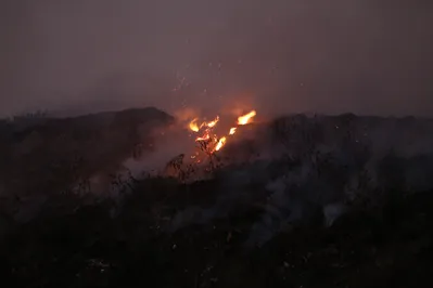 Imagem ilustrativa da imagem Incêndio em aterro sanitário de Cambé já passa de dez dias