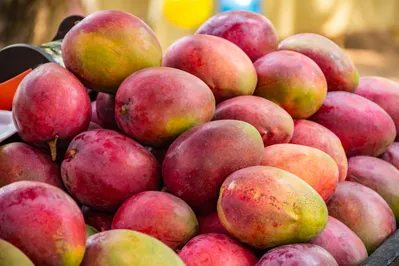Imagem ilustrativa da imagem Manga, uvas e açaí não escapam do tarifaço; setor busca acordo