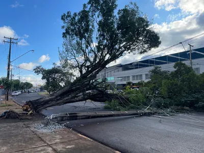 Imagem ilustrativa da imagem Nove municípios do PR registram rajadas de vento de mais de 70 km/h