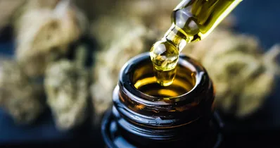 Os cadastros para solicitação dos medicamentos à base de canabidiol abrem em julho