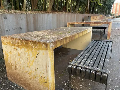 Imagem ilustrativa da imagem População reclama do 'abandono' do Bosque Central de Londrina