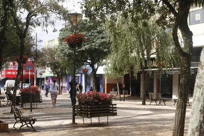 Imagem ilustrativa da imagem Prefeitura de Cambé inicia Refis a partir de 2 de junho