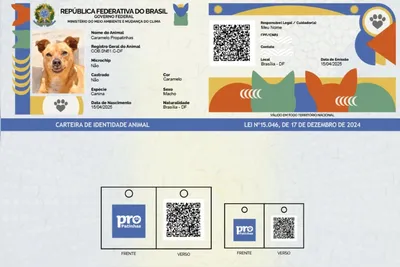 Imagem ilustrativa da imagem RG para cães e gatos: tire dúvidas sobre o SinPatinhas