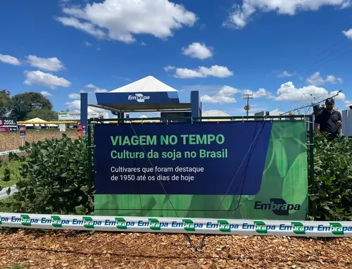cadeado