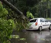 Árvore cai sobre carro estacionado na Rio de Janeiro