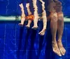 Bombeiros do Paraná alertam sobre afogamentos em piscinas
