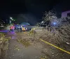 Chuva e vento causam queda de árvores em Londrina