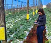 Concurso da Adapar está com inscrições abertas