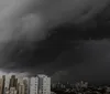 Londrina inicia dezembro com tempestade e quedas de árvores