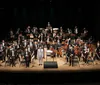 OSUEL apresenta obras de Dvorak, Brahms e Strauss