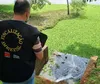 Sema aplica multas de R$ 7 milhões por despejo irregular de esgoto em Londrina