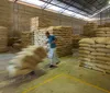 Sobretaxa de 40% continua sendo entrave com os EUA