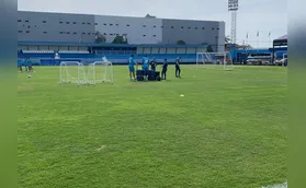 Alto custo trava Londrina na tentativa de trocar gramado do VGD