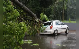 Árvore cai sobre carro estacionado na Rio de Janeiro