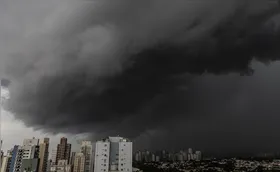 Londrina inicia dezembro com tempestade e quedas de árvores