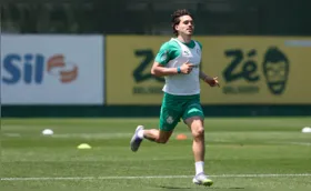 Palmeiras e Vasco se enfrentam no Allianz Parque