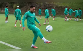 Palmeiras e Flamengo seguem na briga pelo título