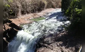 Ribeirão Cambé: a bacia que respira Londrina e agoniza no Igapó