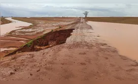 Temporais danificam produções agrícolas no Paraná