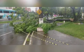 Temporais deixam Londrina e região em estado de alerta