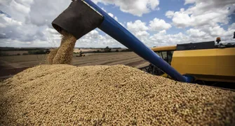 VBP Agropecuário do PR alcança R$ 212,6 bilhões em 2025