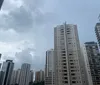 Defesa Civil registra 12 quedas de árvore em Londrina no fim de semana