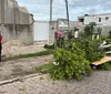 Simepar confirma tornado nível 2 em São José dos Pinhais