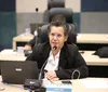 Câmara vota abertura de Comissão Processante contra Anne Moraes