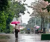 Frente fria traz chuva forte e derruba temperatura no Norte do PR
