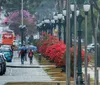 Londrina registra  recorde histórico de acumulado de chuva