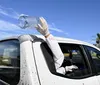 Mosquito 'antidengue': momento decisivo para expandir pelo Brasil