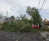 Temporal derruba árvores, destelha casas e deixa mais de mil imóveis sem luz em Londrina