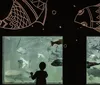 Variedade de peixes atrai famílias ao Aquário da ExpoLondrina