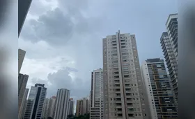 Defesa Civil registra 12 quedas de árvore em Londrina no fim de semana