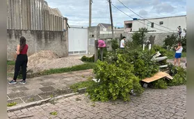Simepar confirma tornado nível 2 em São José dos Pinhais