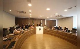 Alep debate acolhimento a mães de filhos com síndrome de Down