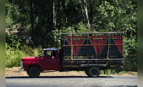 As lembranças dos caminhões que passaram pela minha vida