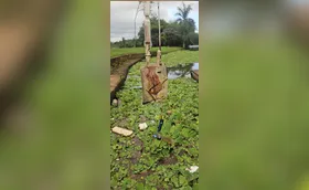 Bolsa de sangue  é recolhida no Lago Igapó 2