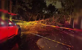 Chuva em abril mais que dobra média histórica em Londrina