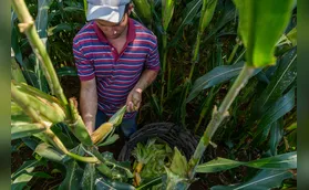 Conflitos no Oriente Médio preocupam agronegócio paranaense