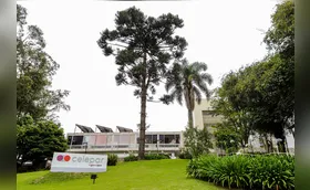 Dino suspende privatização da Celepar por ‘insegurança jurídica’