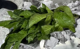 Em um mês, Mapa apreende 270 quilos de produtos irregular em aeroporto