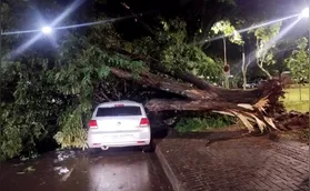 Londrina teve maior precipitação de todo o Paraná na segunda