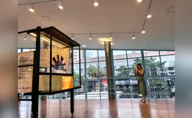 Museu de Arte de Londrina reabre com acervo do MUPA